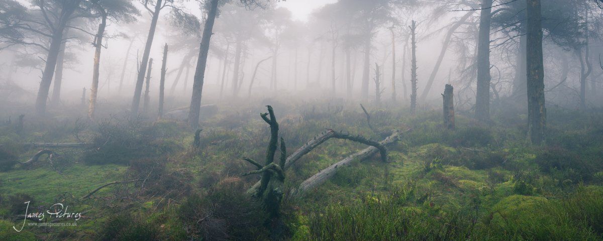 Under the Roaches with thick mist makes for some stunning opportunities.