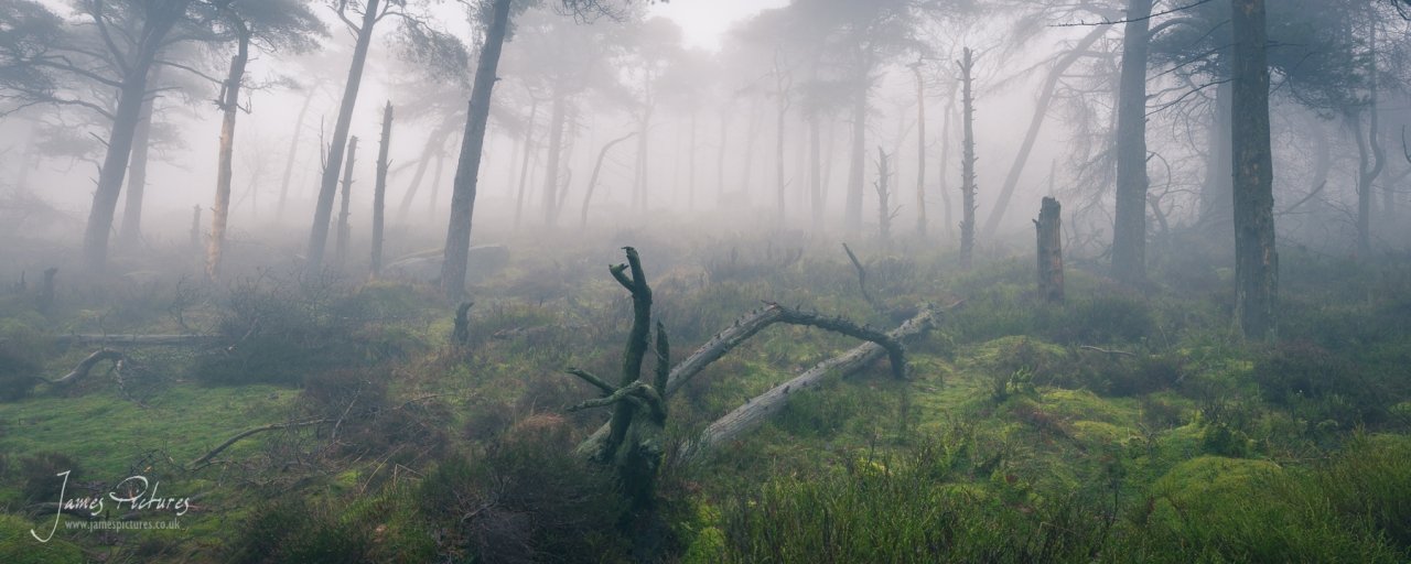 Under the Roaches with thick mist makes for some stunning opportunities.