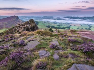 Heather Roaches Peak District Photography