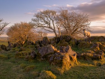 Roystone Rocks Peak District