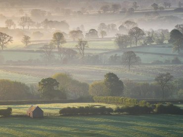 Thorpe Pastures