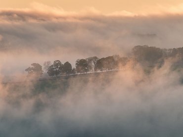 Tissington Morning Mist