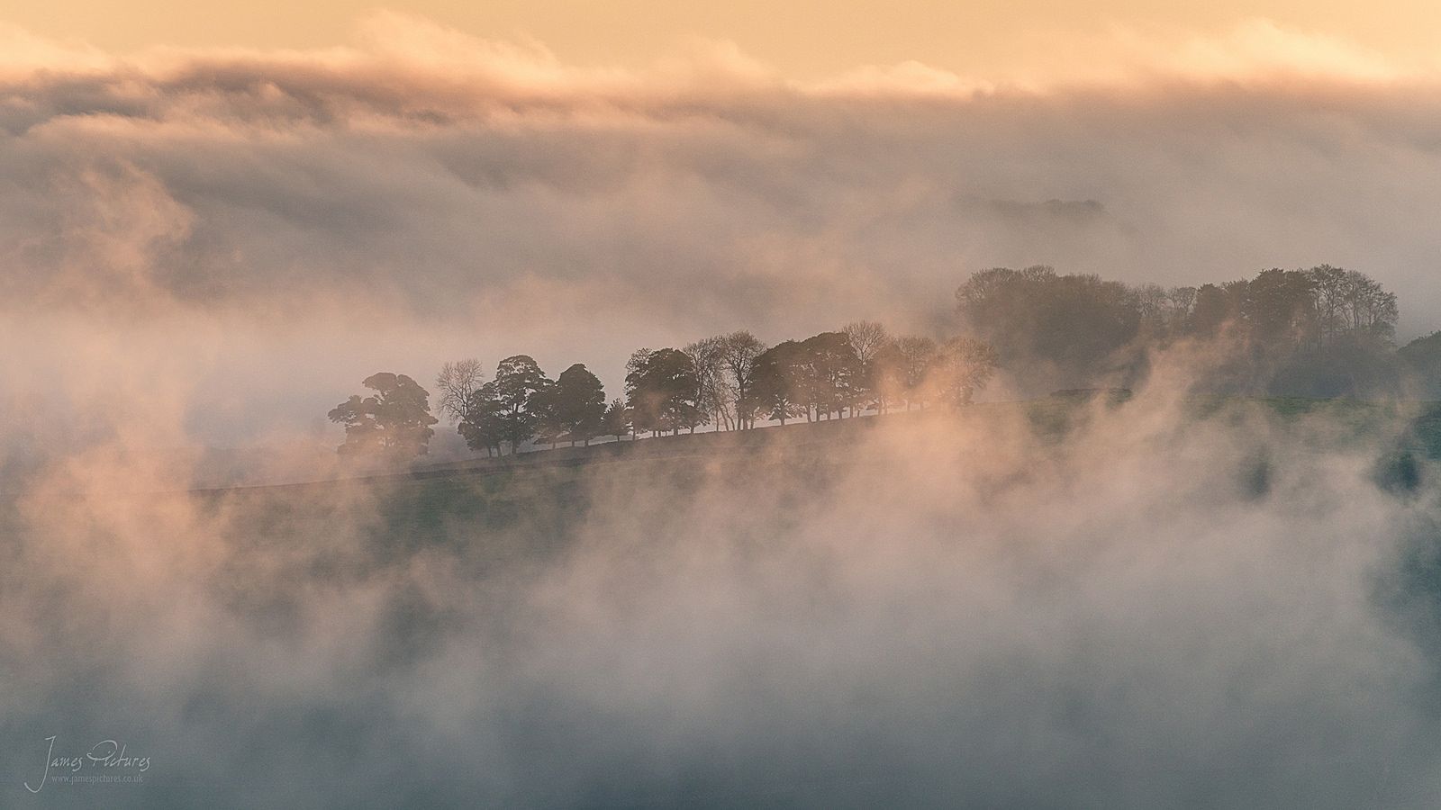 Tissington Morning Mist James Pictures