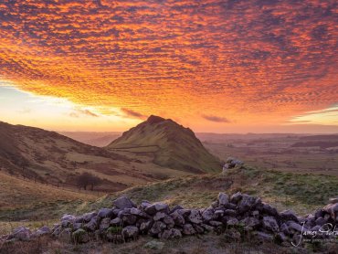 Walker On Chrome Hill