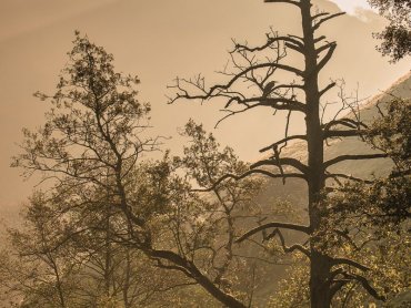 Wolfscote Dale