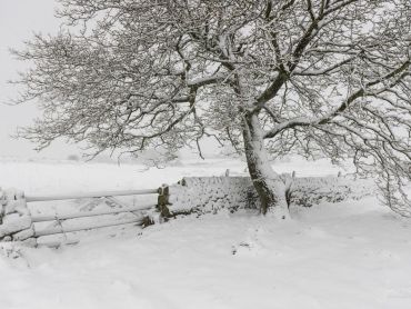 Warslow - Staffordshire