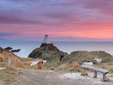 A stunning scene of the Llanddwyn Island at sunset, with the wild horses roaming around