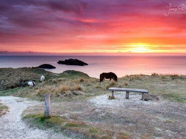 A wonderful red and purple sky transformed the scene on Llanddwyn Island and provided me with some great light.