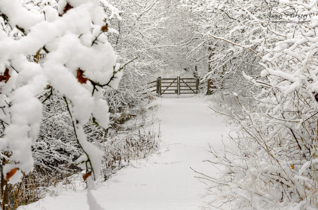 I walked along the River Dove in the Peak District on the first day we had some snow and I think ive managed to do this some justice with some foreground interest and a nice leading-line down the snow covered path.
