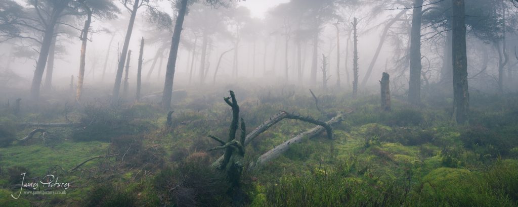 Under the Roaches with thick mist makes for some stunning opportunities.