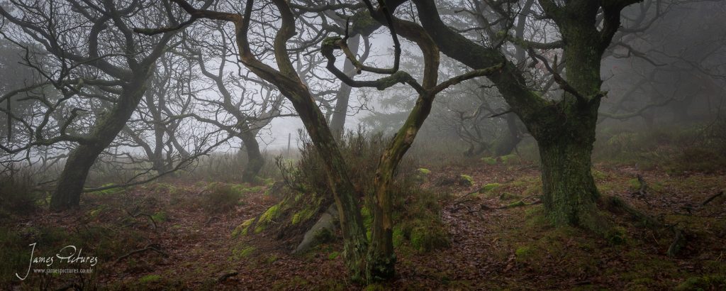 The Roaches in the Peak District in the right conditions can be ever so haunting but at the same time majestic and unique!