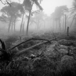 The Roaches can be dark and very surreal in the right conditions