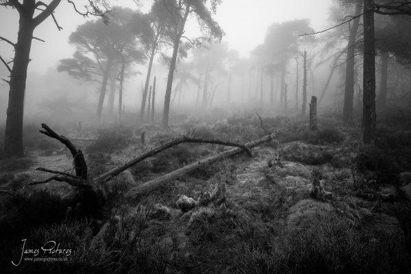 The Roaches can be dark and very surreal in the right conditions