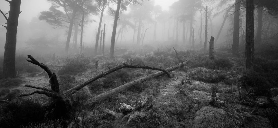 The Roaches can be dark and very surreal in the right conditions
