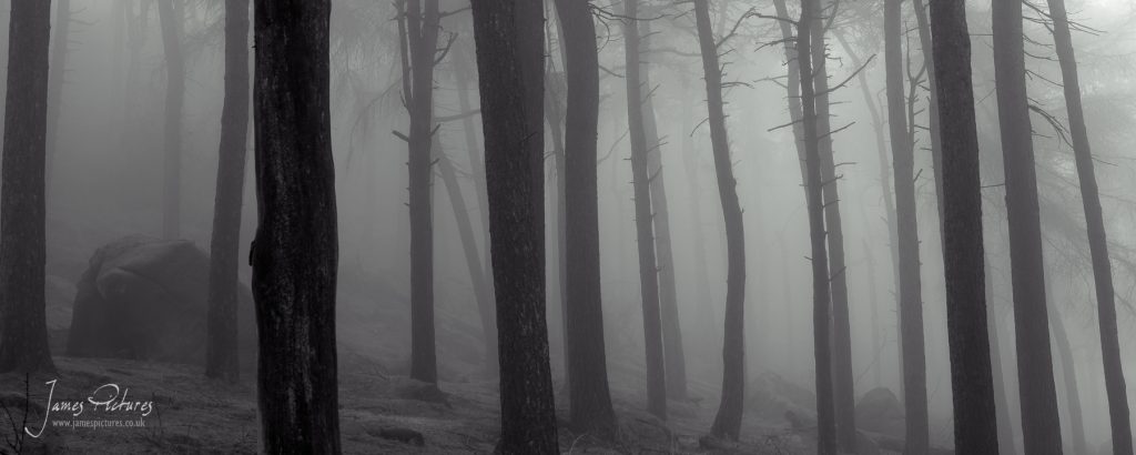 The Roaches can be a dark and mysterious place when the mist is present.