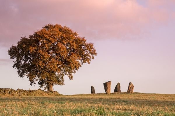Nine Stone Close