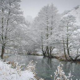 Dovedale In The Snow