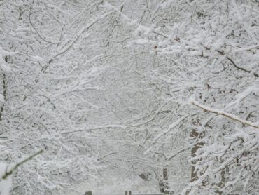 Dovedale Snow Covered Path