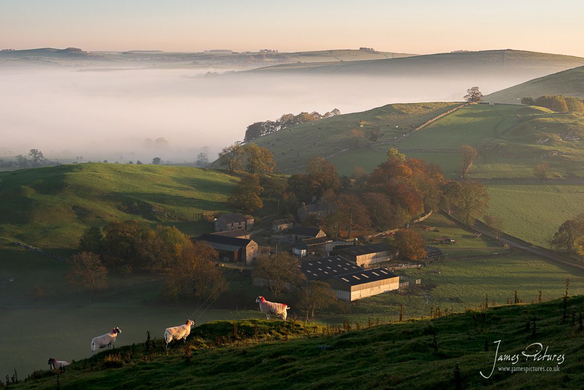 Gateham Grange Farm White Peak