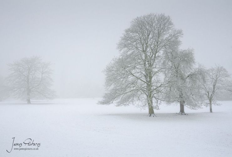 Illam Park National Trust
