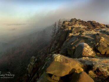 The Roaches