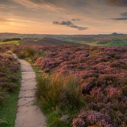 Sunset On The Roaches