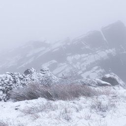 The Roaches Under Mist
