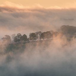 Tissington Morning Mist