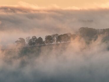 Tissington Morning Mist