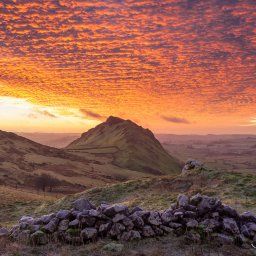 Walker On Chrome Hill