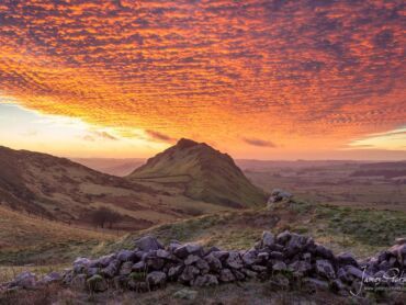 Walker On Chrome Hill