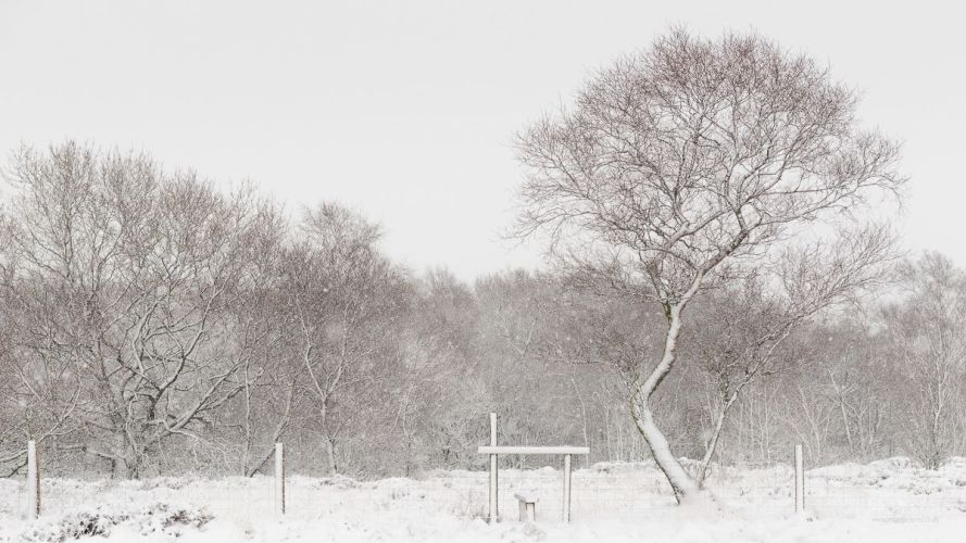 Warslow Moors Staffordshire