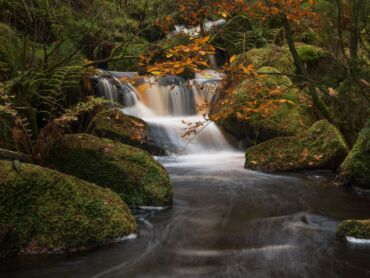 Wyming Brook