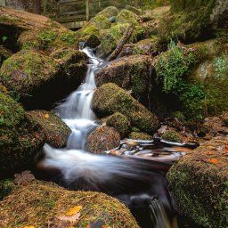 Wyming Brook Nature Reserve