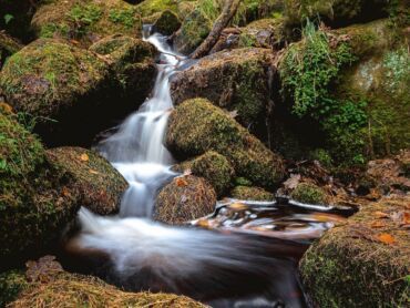Wyming Brook Nature Reserve