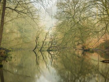Dimmingsdale