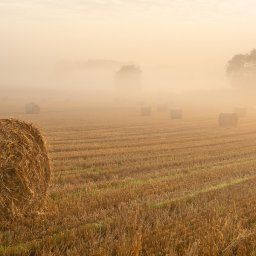 Rural Staffordshire Countryside