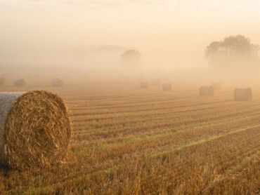 Rural Staffordshire Countryside