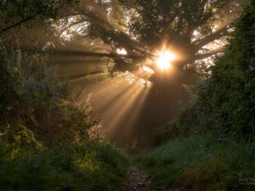 Kingsley Holt - Staffordshire