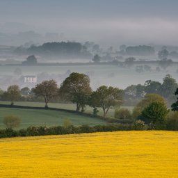 Staffordshire Landscapes