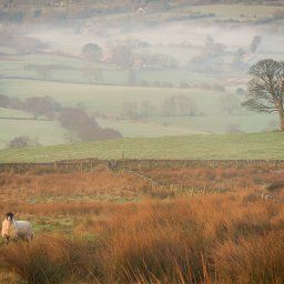 Staffordshire Landscape