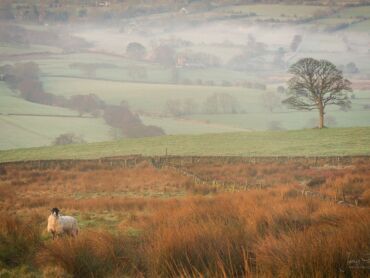 Staffordshire Landscape