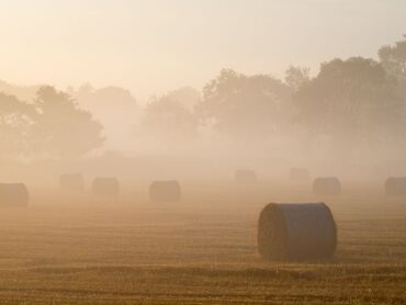 Stallington - Staffordshire