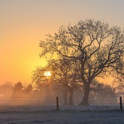 Staffordshire Sunrise
