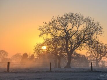 Staffordshire Sunrise