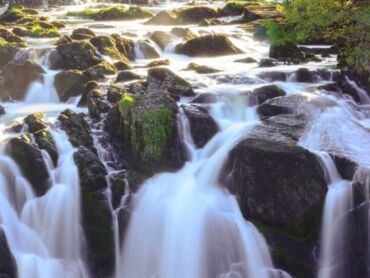 The roar of the cascading water at Swallow Falls Waterfall is a must for visitors to North Wales.