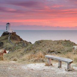 Wales is a stunning location for Landscape Photography, this image was taken in North Wales, at Llanddwyn Island, where wild horses roam and the old lighthouse lights the Menai Straights at night.