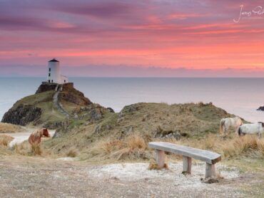 Wales is a stunning location for Landscape Photography, this image was taken in North Wales, at Llanddwyn Island, where wild horses roam and the old lighthouse lights the Menai Straights at night.